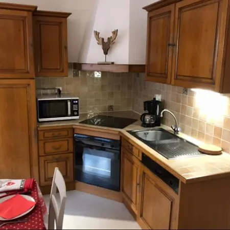 Locations De La Cascade 4 Personnes Apartment Besse-et-Saint-Anastaise