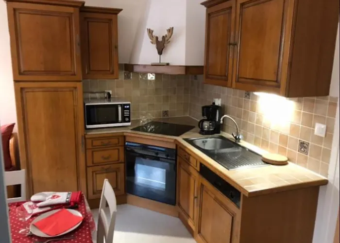 Locations De La Cascade 4 Personnes Apartment Besse-et-Saint-Anastaise